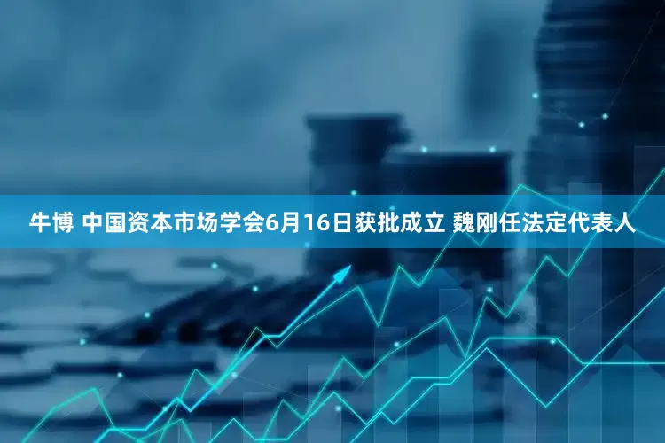 牛博 中国资本市场学会6月16日获批成立 魏刚任法定代表人