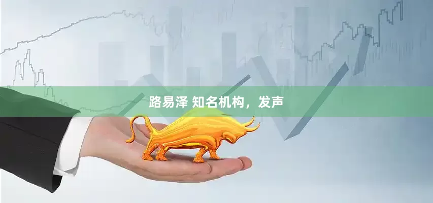 路易泽 知名机构，发声
