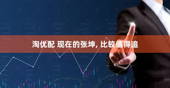 淘优配 现在的张坤, 比较值得追