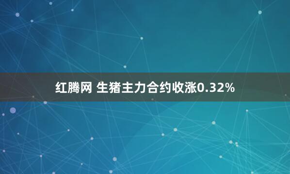红腾网 生猪主力合约收涨0.32%