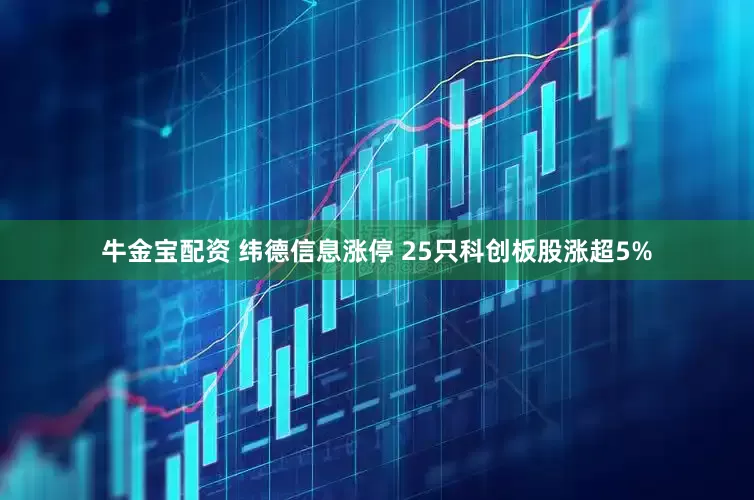 牛金宝配资 纬德信息涨停 25只科创板股涨超5%