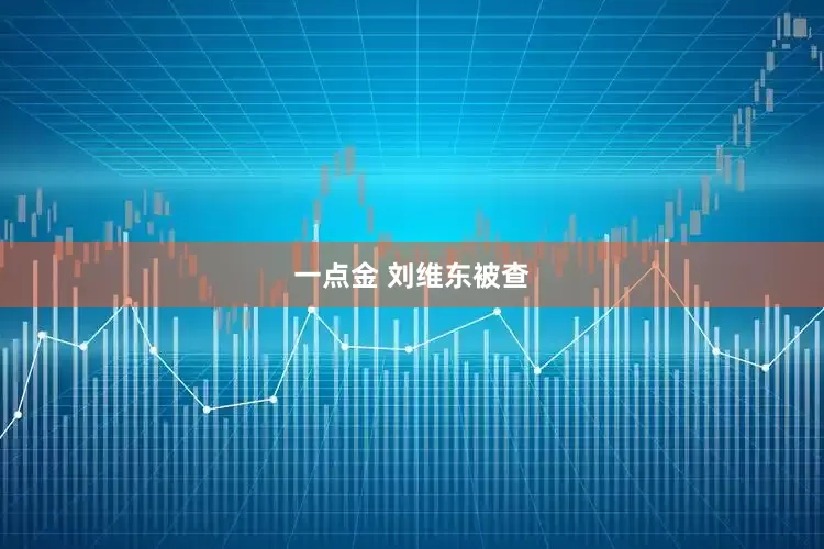 一点金 刘维东被查